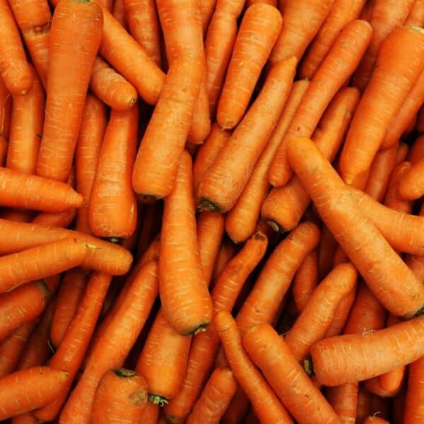 Carrots - 50 lbs