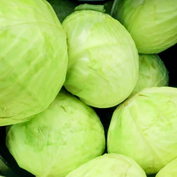 Cabbage - 75 lbs