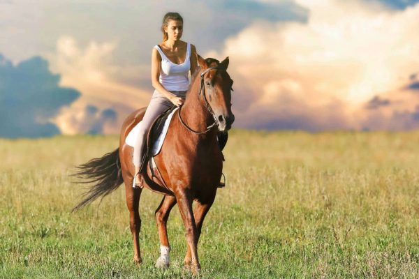 ukraine charity: therapy through horse riding